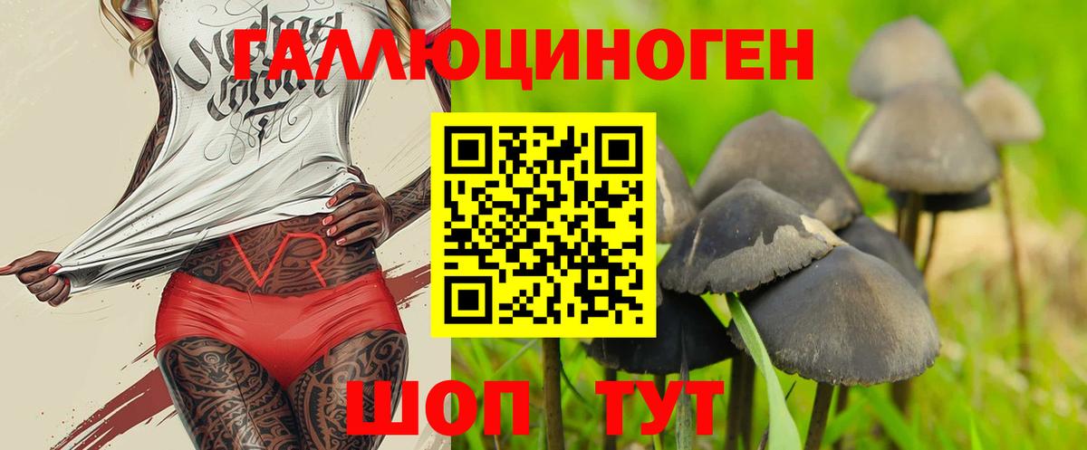 Галлюциногенные грибы Cubensis  Псилоцибиновые грибы Psilocybe  Сердобск  Вход с VPN 