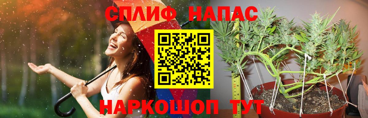 МАРИХУАНА гибрид Сердобск